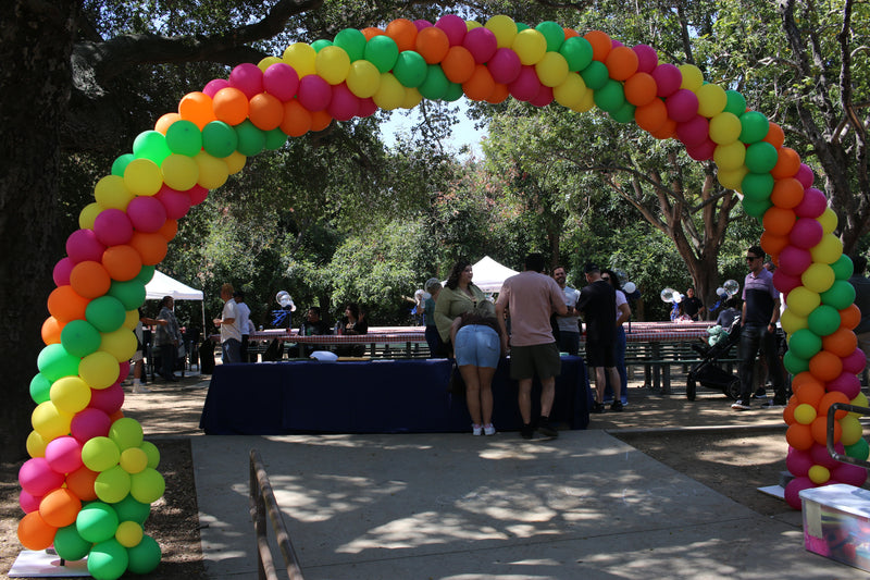 Balloon Arch
