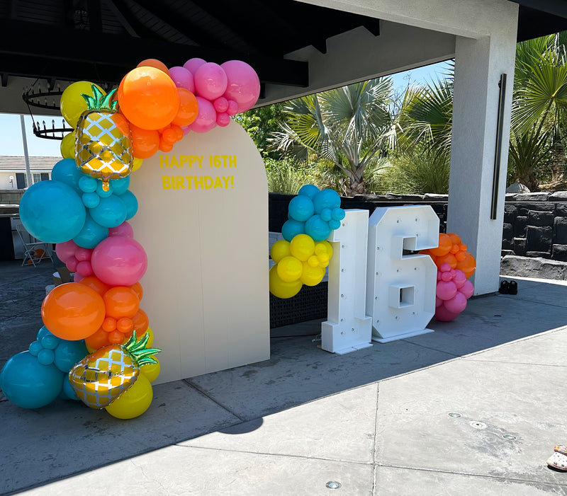 Organic Balloon Garland with Backdrop