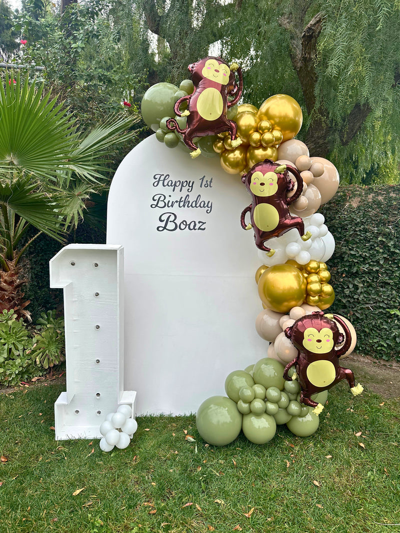 Arch Backdrop with One Garland