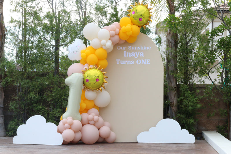 Organic Balloon Garland with Backdrop