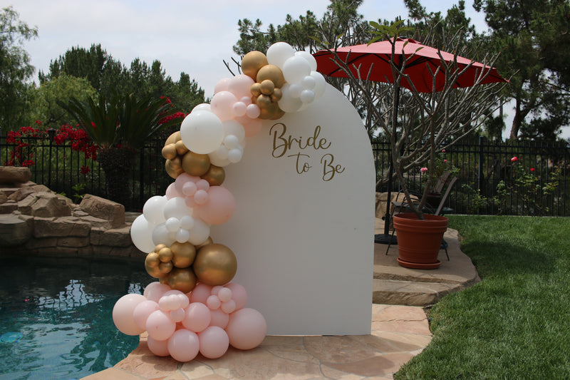 Organic Balloon Garland with Backdrop