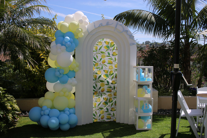 Organic Balloon Garland with Backdrop