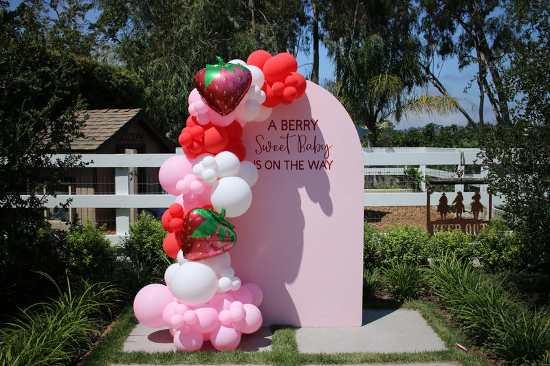 Organic Balloon Garland with Backdrop