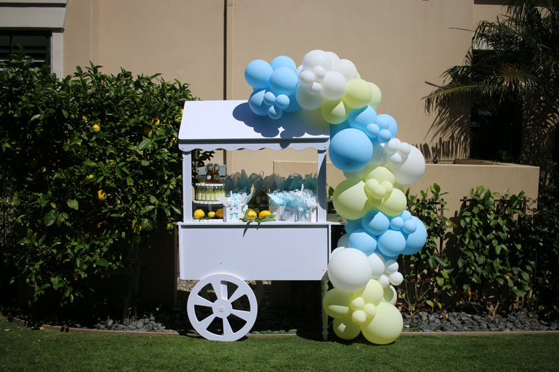 Organic Balloon Garland